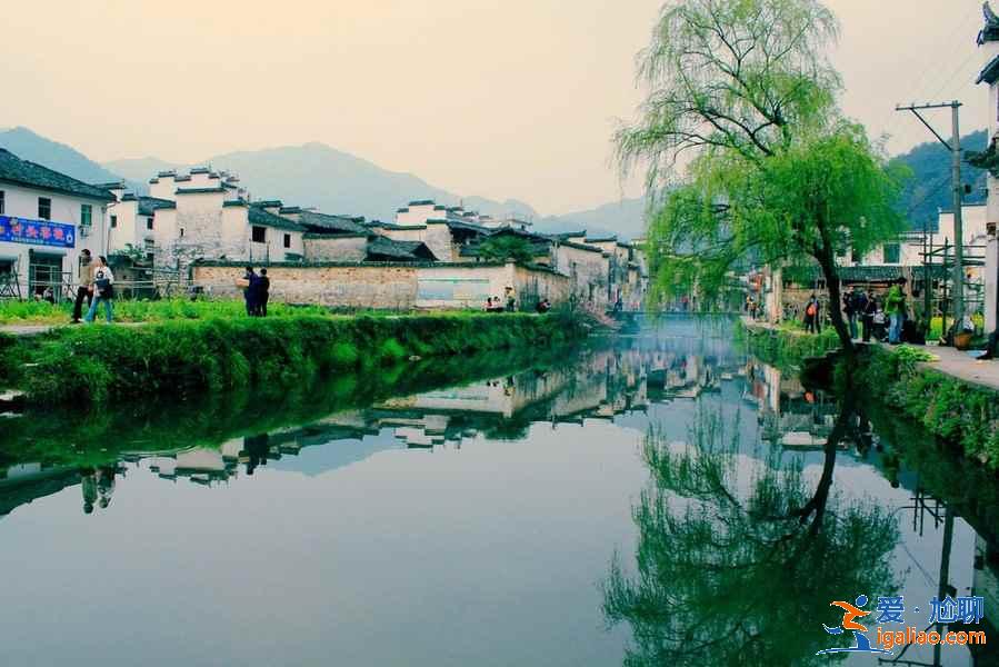 婺源親子游去哪玩，婺源親子游景點推薦，婺源帶娃去哪里好玩？