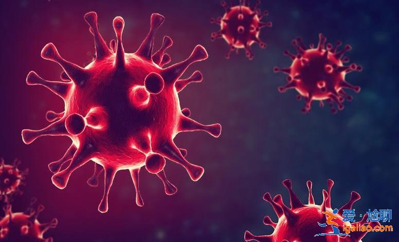 11月8號鄭州要全市做核酸檢測嗎 鄭州市預計全面解封日期? 11月8號鄭州要全市做核酸檢測嗎 鄭州市預計全面解封日期?