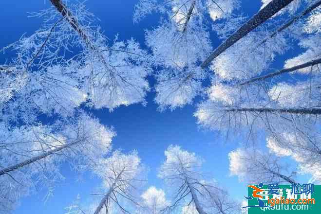 國內冬天旅游推薦 國內冬天去哪里比較好? 國內冬天旅游推薦 國內冬天去哪里比較好?