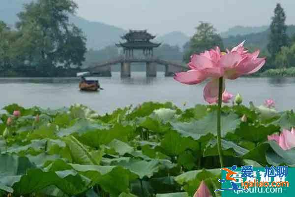 山西大禹渡黃河風景區因景區改造原因暫時閉園？