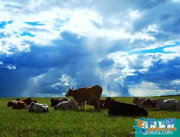 國內冬天旅游推薦 國內冬天去哪里比較好? 國內冬天旅游推薦 國內冬天去哪里比較好?