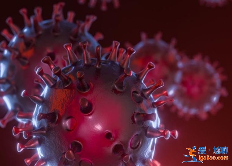 廣州本輪疫情源頭到底是哪里 廣州現在疫情多少例？