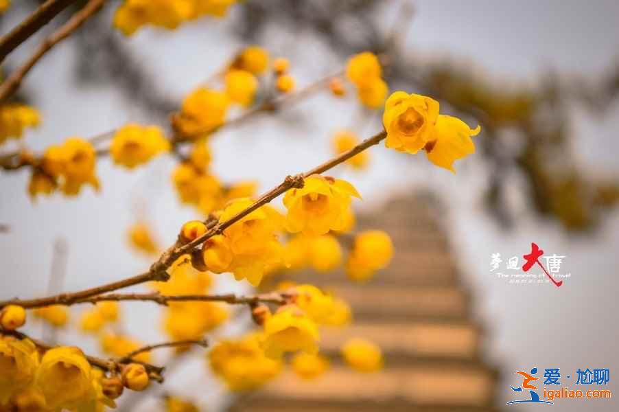 西安有哪些適合情侶玩的地方，在西安情侶必去景點，西安約會好去處推薦？