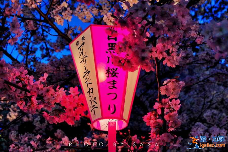 2019年東京賞櫻去哪好,2019年東京賞櫻地點(diǎn)推薦,2019年東京賞櫻攻略? 2019年東京賞櫻去哪好,2019年東京賞櫻地點(diǎn)推薦,2019年東京賞櫻攻略?