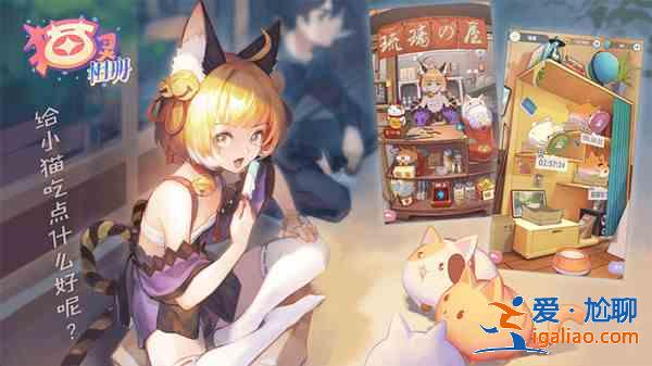 貓靈相冊禮包兌換碼大全 公測兌換碼取件碼獲取與使用方法？