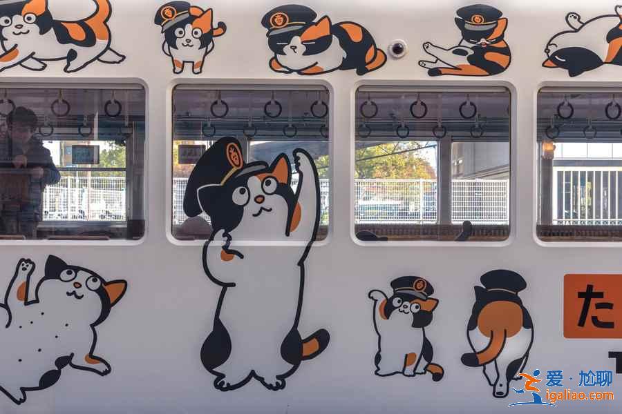 日本和歌山怎么玩，日本和歌山游玩攻略，日本和歌山景點(diǎn)推薦？