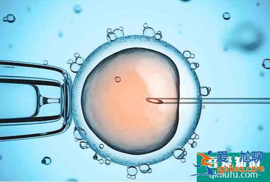 什么是胚胎移植？ 胚胎移植幾天后著床？