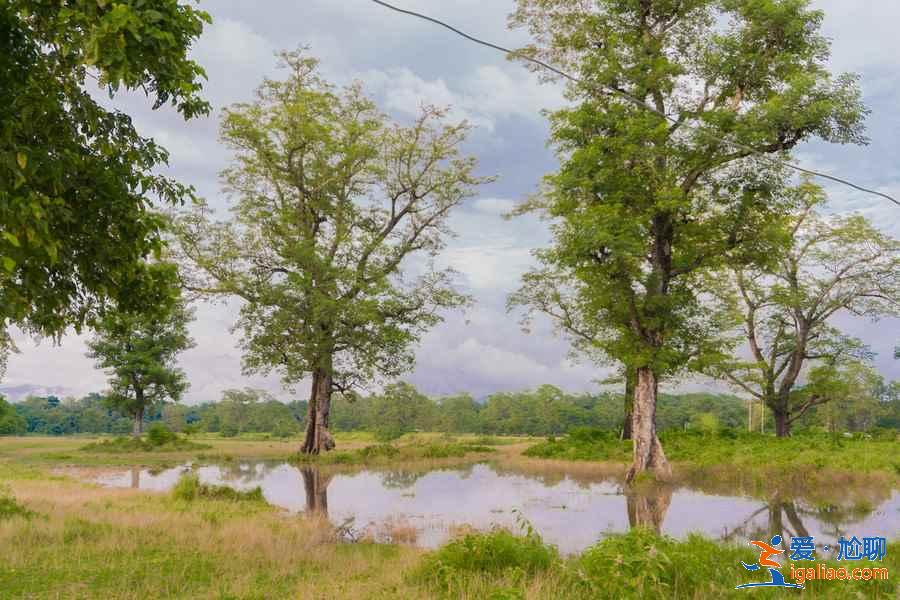 尼泊爾七日游怎么玩,尼泊爾七天自由行攻略,尼泊爾七日游路線推薦? 尼泊爾七日游怎么玩,尼泊爾七天自由行攻略,尼泊爾七日游路線推薦?