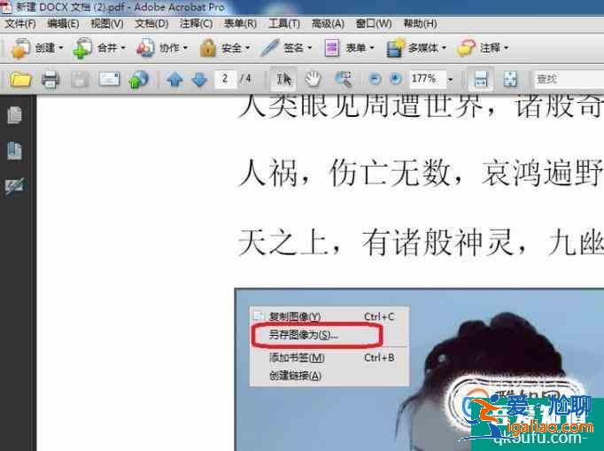 pdf怎么復制圖片？