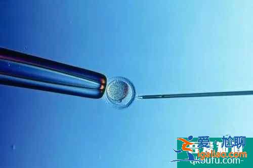 試管單胎好還是雙胞胎好？？