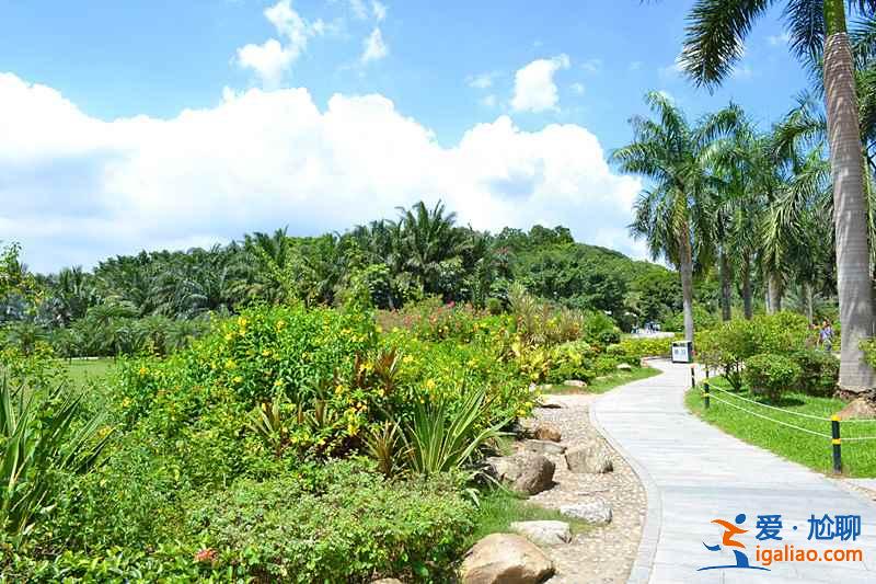 深圳約會好去處，深圳哪些地方適合情侶，深圳情侶游約會圣地？