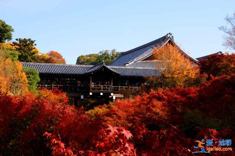 北海道小樽一日游怎么玩？北海道小樽一日游怎么安排？北海道小樽一日游路線推薦？