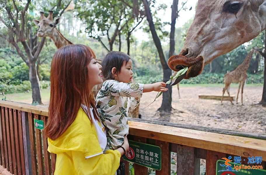 廣州長隆旅游度假區(qū)親子游攻略、帶孩子去廣州長隆旅游度假區(qū)怎么玩？