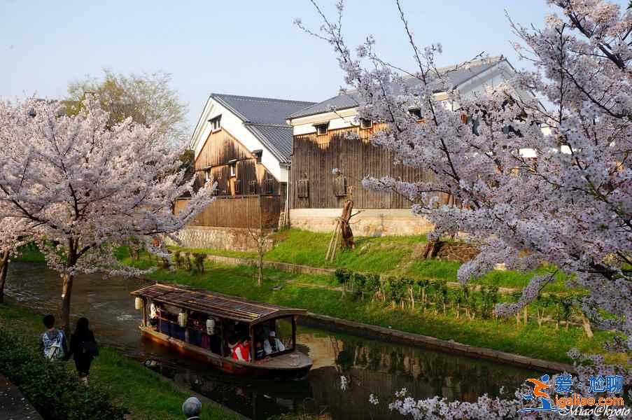 北海道小樽一日游怎么玩？北海道小樽一日游怎么安排？北海道小樽一日游路線推薦？
