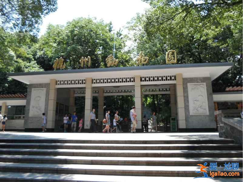 杭州適合小朋友玩的地方，杭州親子游好去處，杭州親子游攻略？