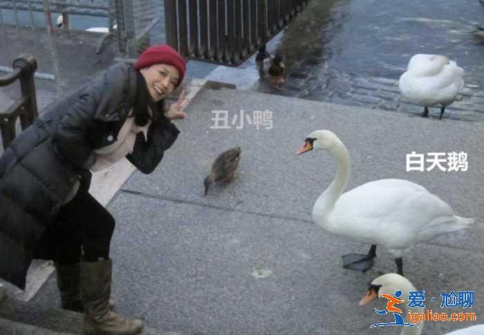 被迫輟學養家,成功轉型實力演員,舒淇“丑小鴨”變成“白天鵝” 被迫輟學養家,成功轉型實力演員,舒淇“丑小鴨”變成“白天鵝”