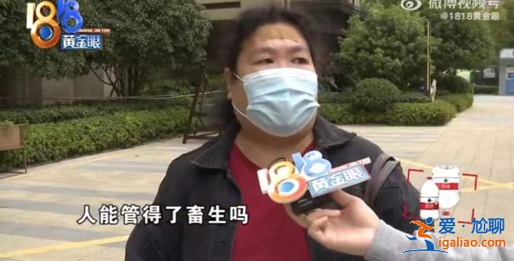 是2-3萬 保姆未關門窗？
