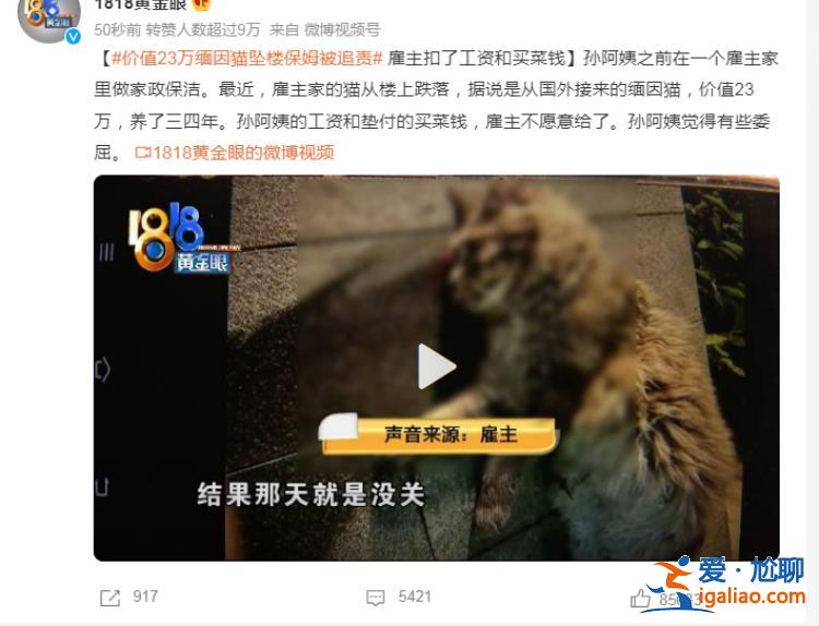 是2-3萬 保姆未關門窗？