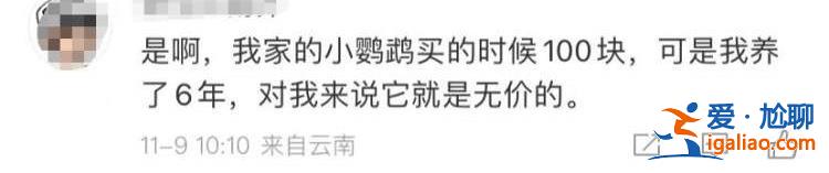 是2-3萬 保姆未關門窗？