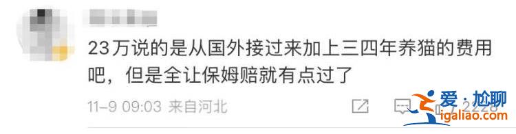 是2-3萬 保姆未關門窗？