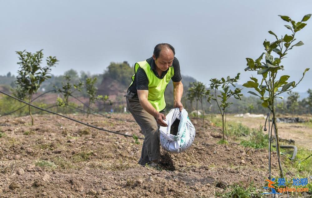 從“小賣部”到“大賣場”？