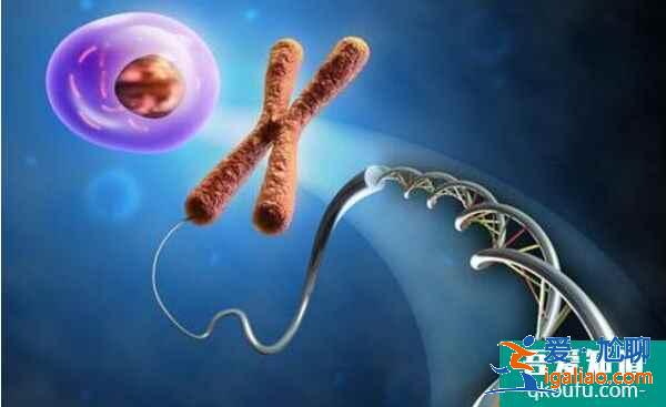 赴美做試管嬰兒如何獲得健康囊胚?專家:關鍵在這三步? 赴美做試管嬰兒如何獲得健康囊胚?專家:關鍵在這三步?