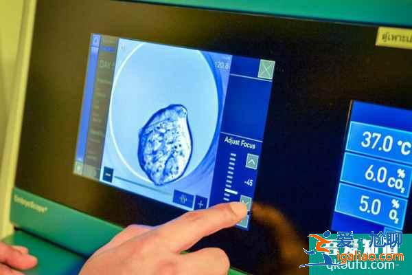 赴美做試管嬰兒如何獲得健康囊胚?專家:關鍵在這三步? 赴美做試管嬰兒如何獲得健康囊胚?專家:關鍵在這三步?