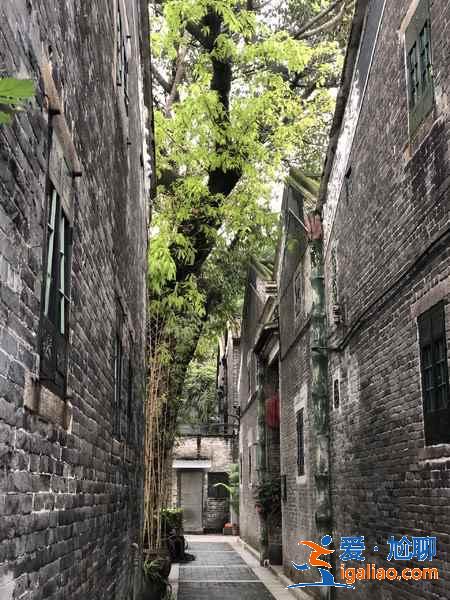 細數廣州那些景美人少的小眾景點，廣州小眾景點有哪些值得去？