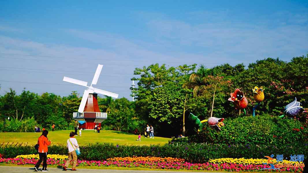 深圳新晉網(wǎng)紅景點(diǎn)打卡，深圳網(wǎng)紅景點(diǎn)一日游，深圳一日游網(wǎng)紅景點(diǎn)攻略？