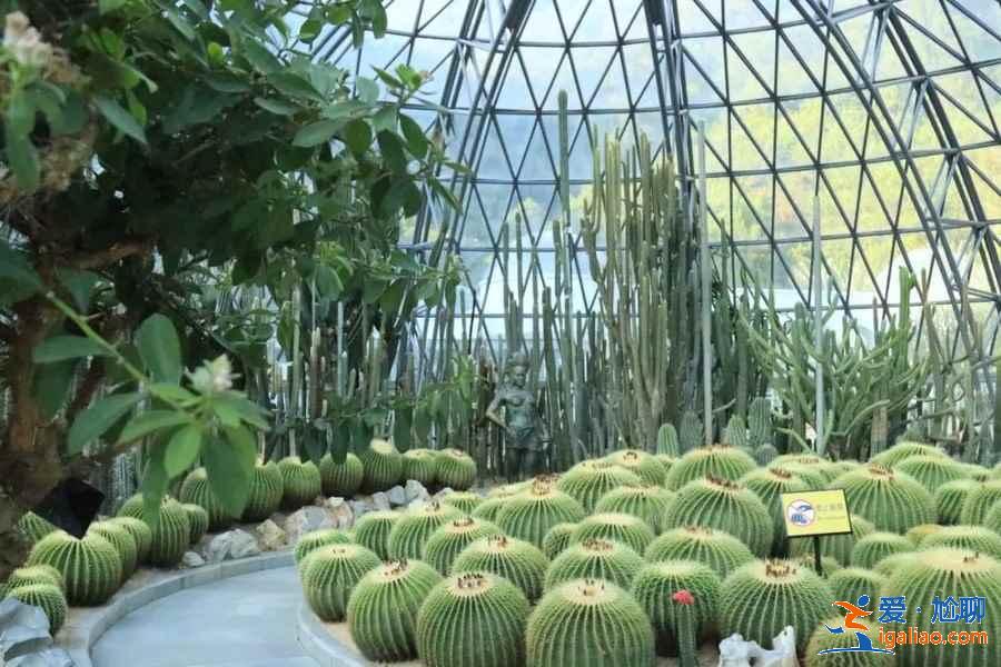 深圳帶孩子去哪玩合適，深圳親子游好去處，深圳親子游攻略？