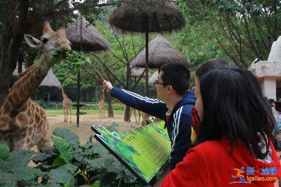 出發(fā)廣州長隆旅游度假區(qū)前需要注意什么，廣州長隆旅游度假區(qū)行前指南？