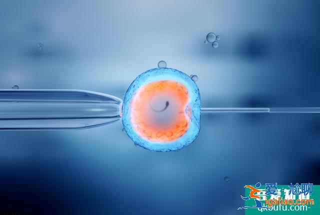 第三代試管嬰兒常見的促排卵方案? 第三代試管嬰兒常見的促排卵方案?