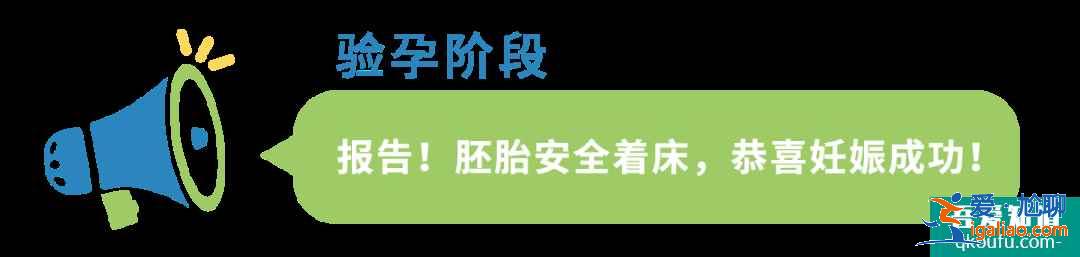 B超檢查在試管嬰兒周期中都起到什么作用?IVF專家為您解析！？