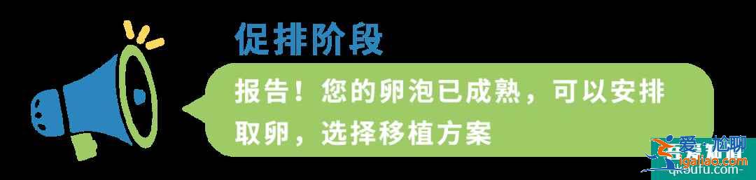 B超檢查在試管嬰兒周期中都起到什么作用?IVF專家為您解析！？