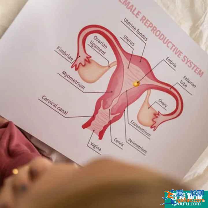 B超檢查在試管嬰兒周期中都起到什么作用?IVF專家為您解析！？
