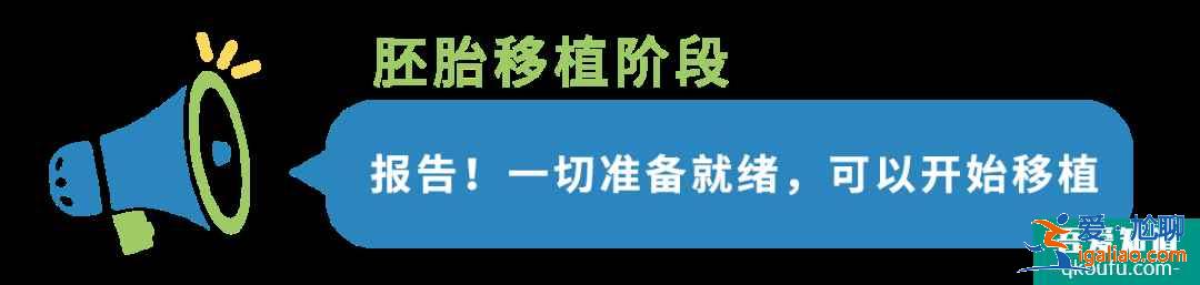 B超檢查在試管嬰兒周期中都起到什么作用?IVF專家為您解析！？