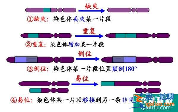 科普染色體異常的種類，第三代試管嬰兒為后代的健康把關(guān)？