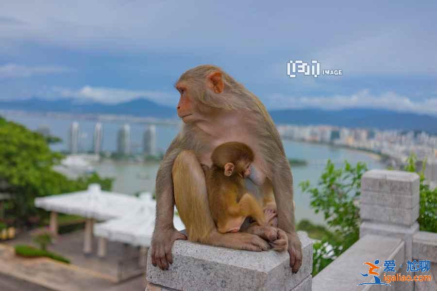 三亞鹿回頭風景區值得去嗎？三亞鹿回頭風景區游玩大解析？