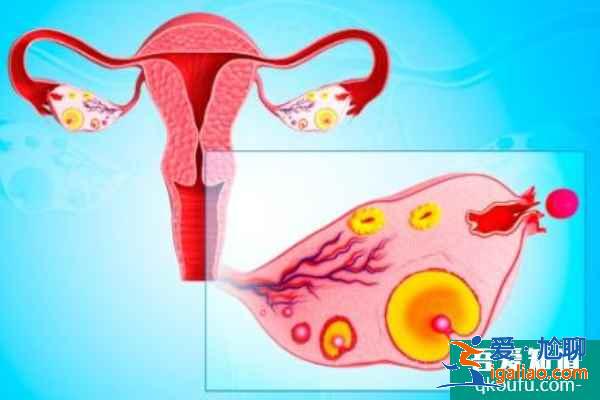 女性患有高血壓，赴美做試管嬰兒如何實現好孕優生？？