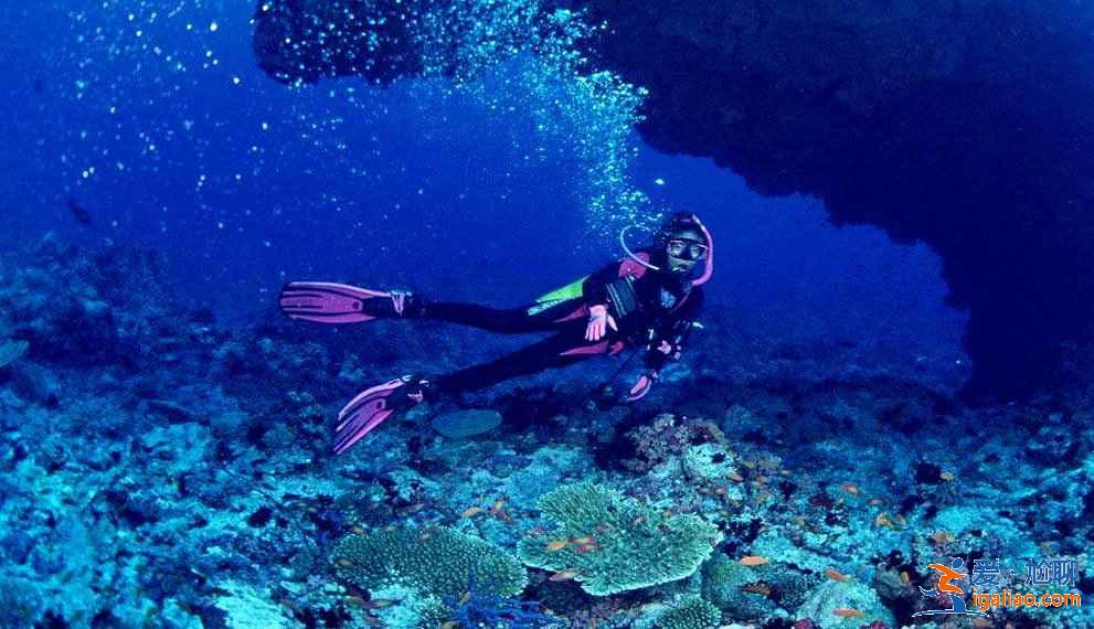 蜈支洲島一日游必去景點,蜈支洲島一日游怎么玩,蜈支洲島一日游玩什么? 蜈支洲島一日游必去景點,蜈支洲島一日游怎么玩,蜈支洲島一日游玩什么?