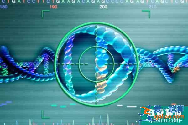 女性患有高血壓，赴美做試管嬰兒如何實現好孕優生？？