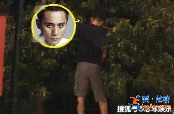 劉燁醉酒后隨地小便，不文明行為遭粉絲駁斥，稱是給植物進行澆灌