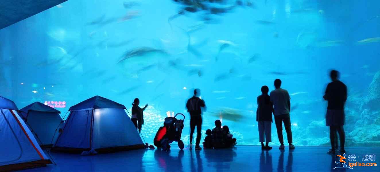 珠海長隆鯨鯊館夜宿攻略，珠海長隆鯨鯊館夜宿需要注意什么？