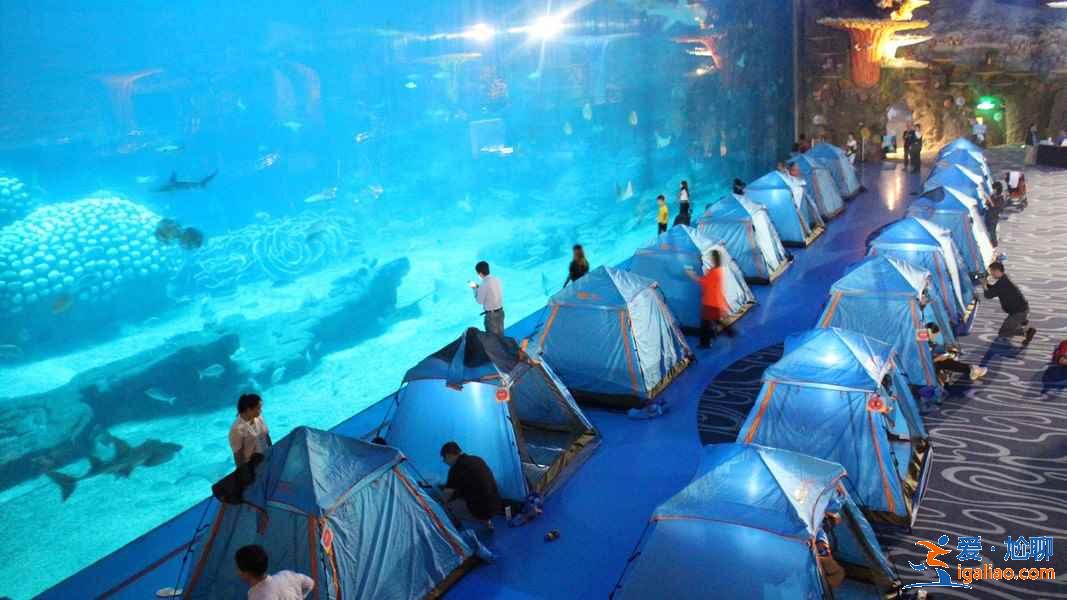 珠海長隆鯨鯊館夜宿攻略，珠海長隆鯨鯊館夜宿需要注意什么？
