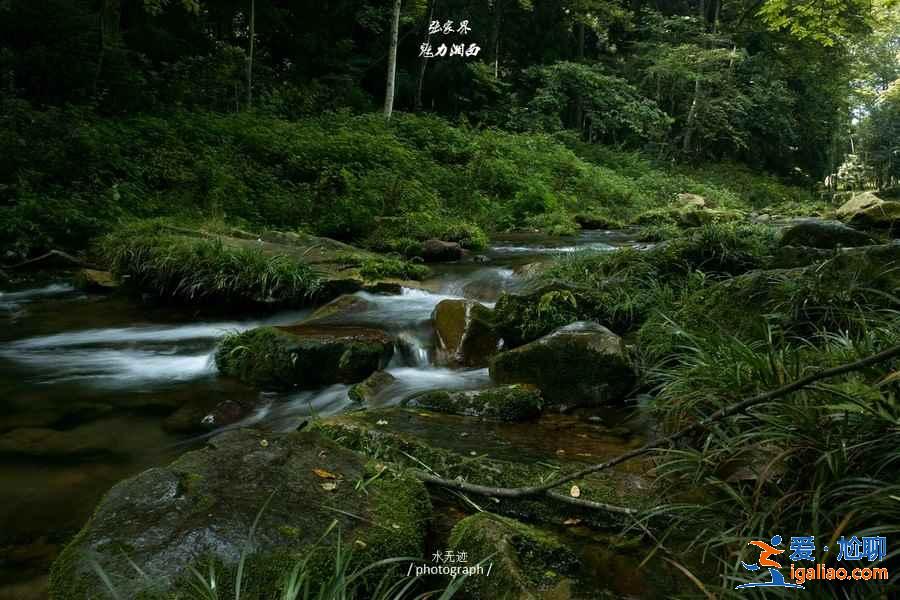 盤點：張家界熱門景點，張家界必去景點，張家界景點大全？