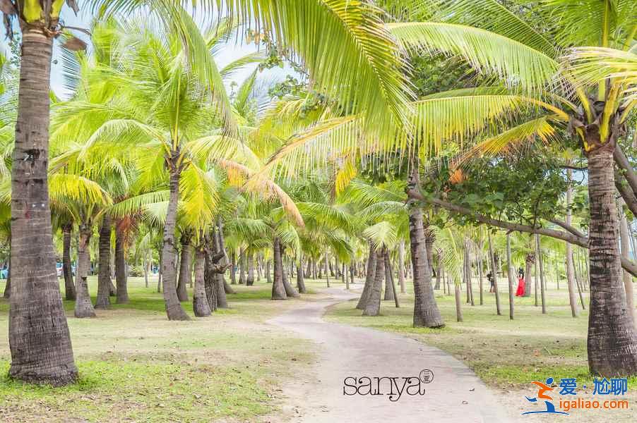 去三亞四天怎么玩?去三亞四天怎么安排?三亞四日游攻略? 去三亞四天怎么玩?去三亞四天怎么安排?三亞四日游攻略?