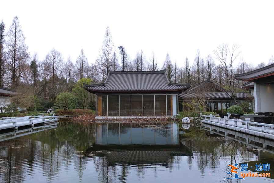春節和家人去杭州哪好玩，春節全家去杭州玩法，春節和家人去杭州怎么玩？