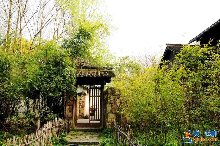 春節和家人去杭州哪好玩，春節全家去杭州玩法，春節和家人去杭州怎么玩？