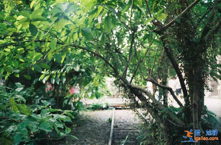 【廣州中秋節去哪玩】2018廣州中秋三天去哪玩，廣州中秋三日游推薦？