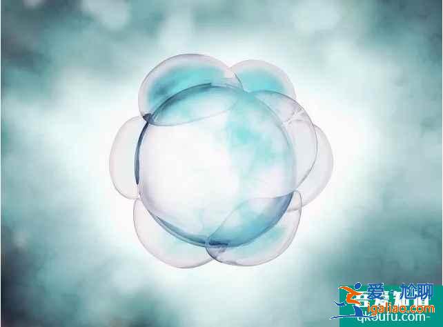 提高胚胎植入率的5種方法!? 提高胚胎植入率的5種方法!?